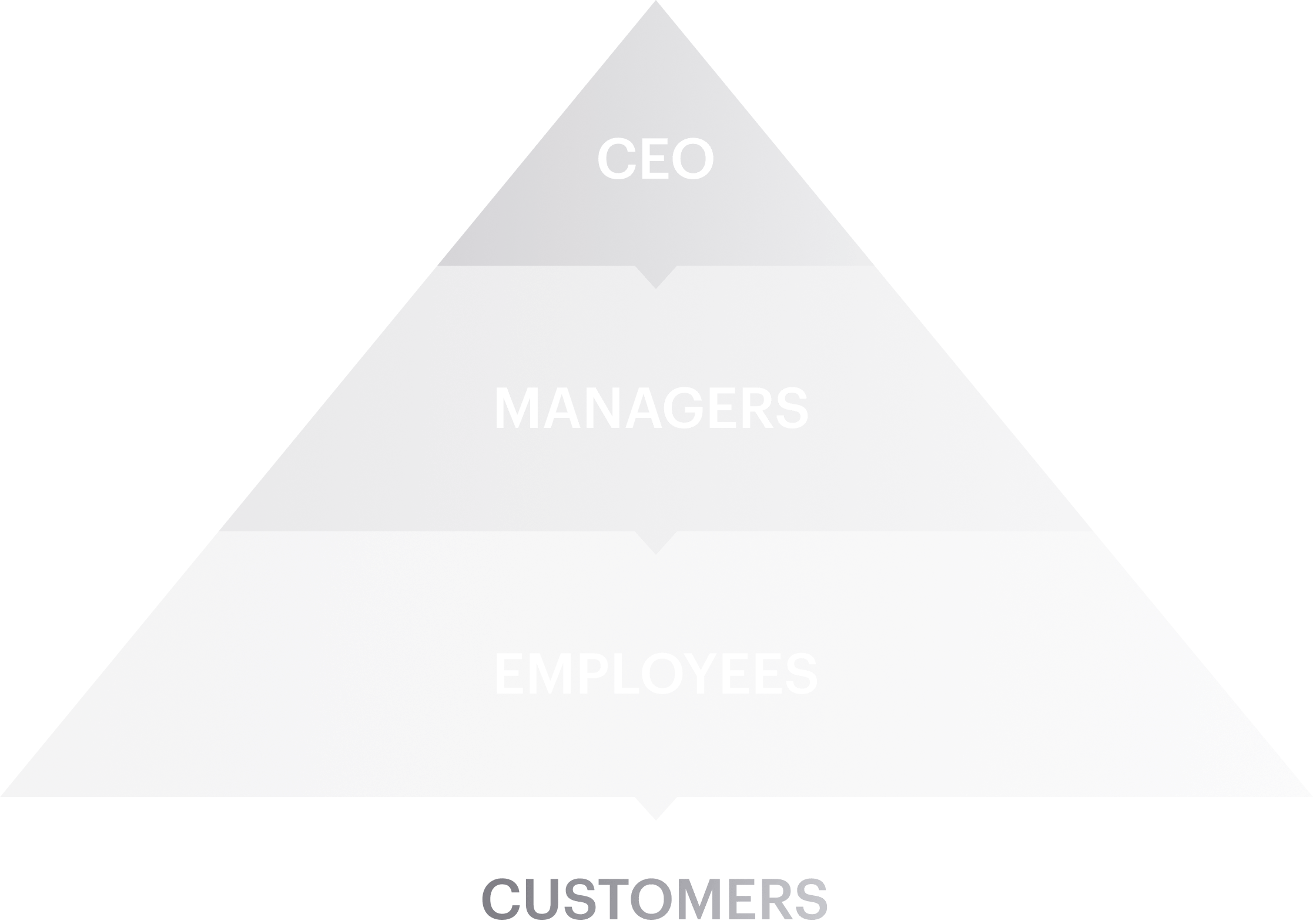 piramid-traditional Synergo - full service web & mobile solutions team.